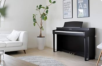 Amazon | KAWAI CN301 R プレミアムローズウッド カワイ